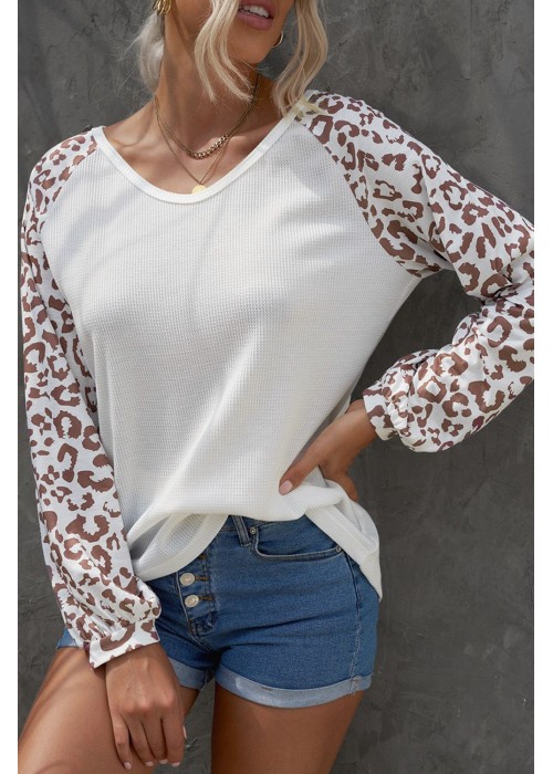 Leopard Raglan Sleeve Knitted V Neck Blouse Leopard Raglan Sleeve Knitted V Neck Blouse